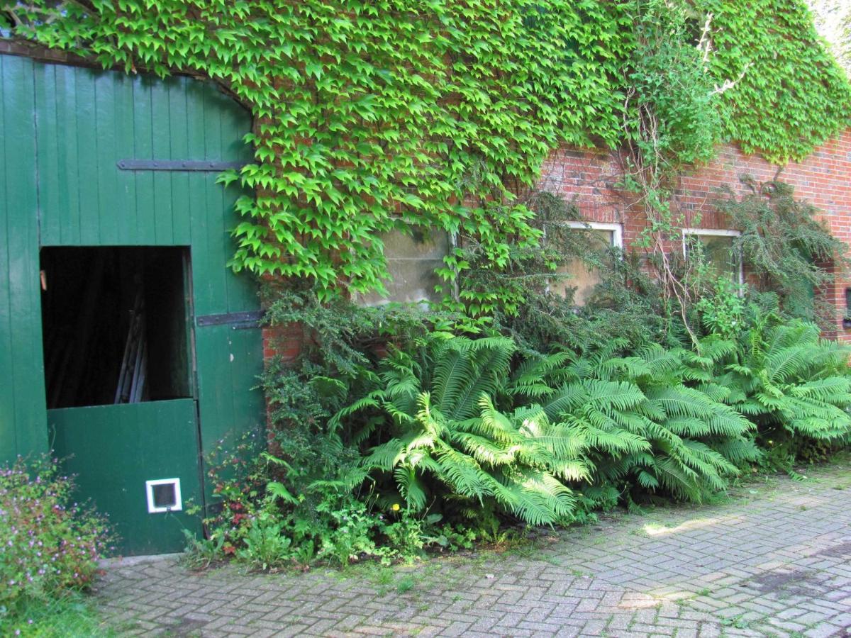 Gaestezimmer Im Engelshof, 61224 Moormerland ภายนอก รูปภาพ