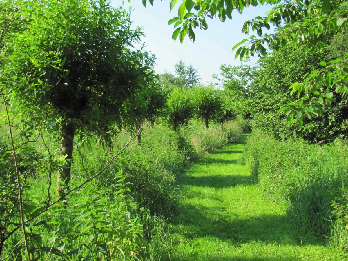 Gaestezimmer Im Engelshof, 61224 Moormerland ภายนอก รูปภาพ